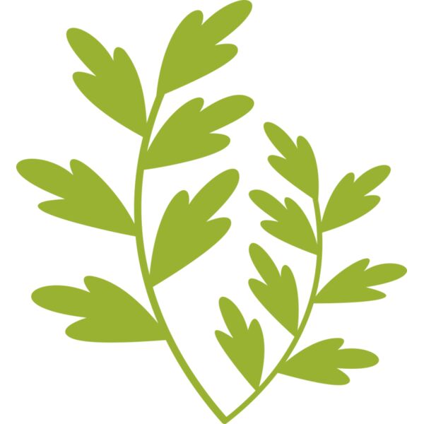 Leaves 11 Thumbnail