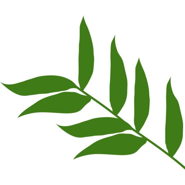 Leaves 5 Thumbnail