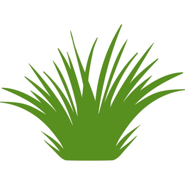 Grass 2 Thumbnail