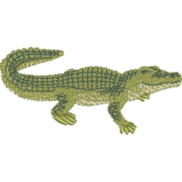 Alligator C1446 Thumbnail