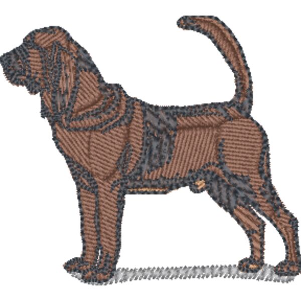 Bloodhound Thumbnail