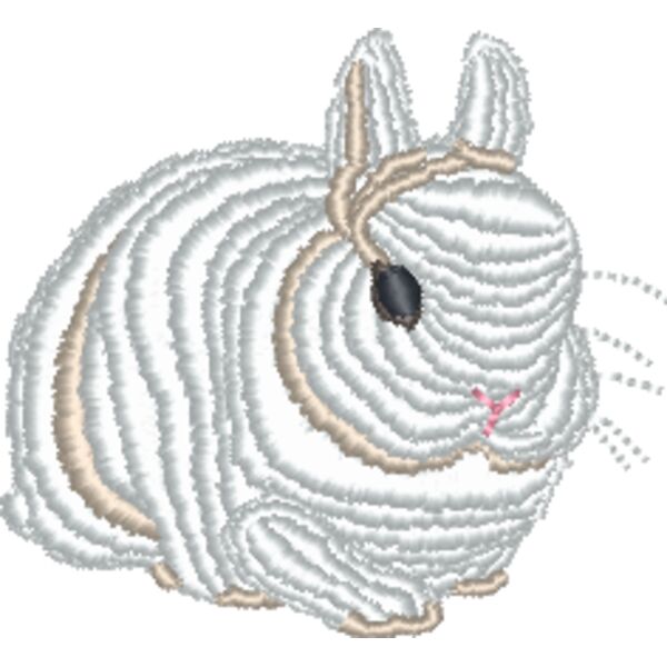 Dwarf Bunny Thumbnail